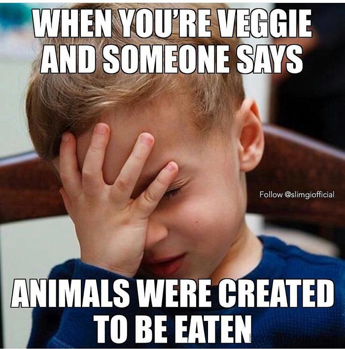 Vegan Memes