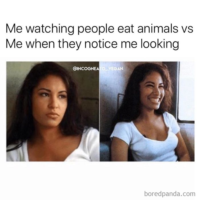 Vegan Memes