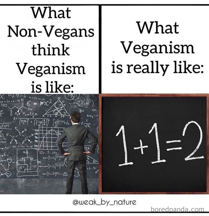 Vegan Memes