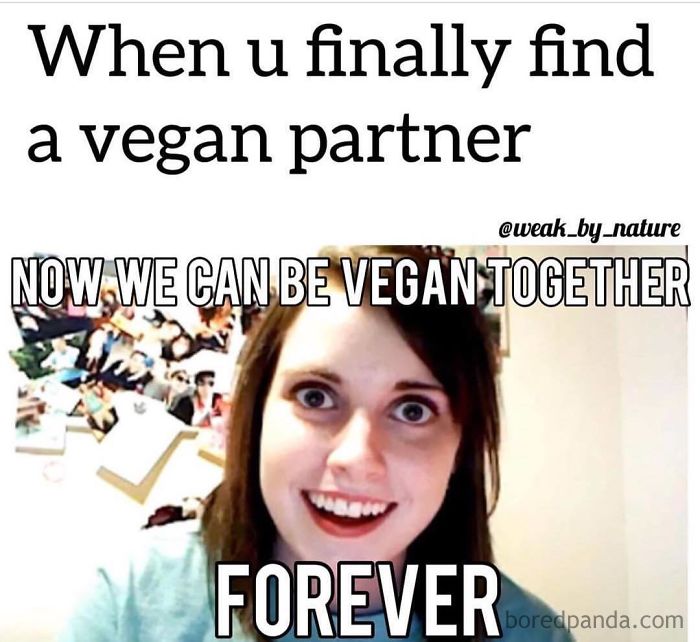 Vegan Memes