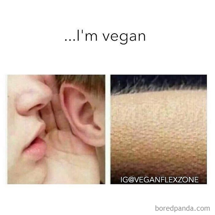 Vegan Memes