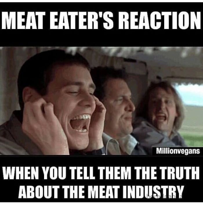 Vegan Memes