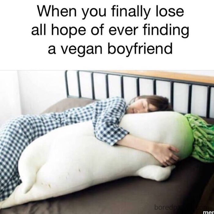 Vegan Memes