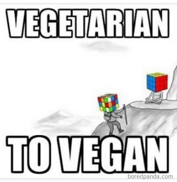 Vegan Memes