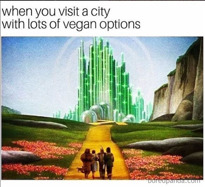 Vegan Memes