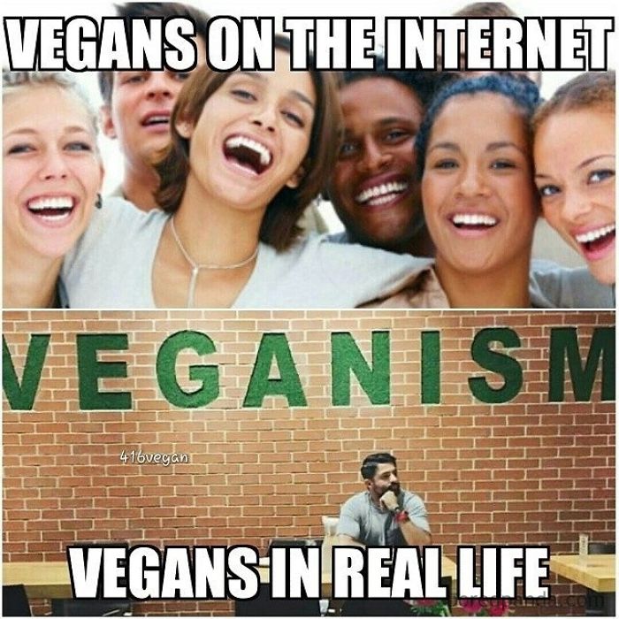 Vegan Memes