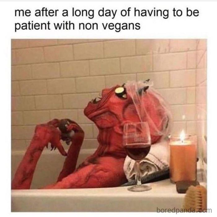 Vegan Memes