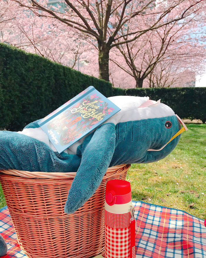 Ikea Shark Plush