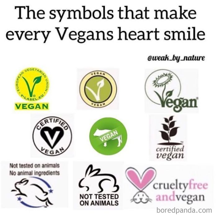 Vegan Memes