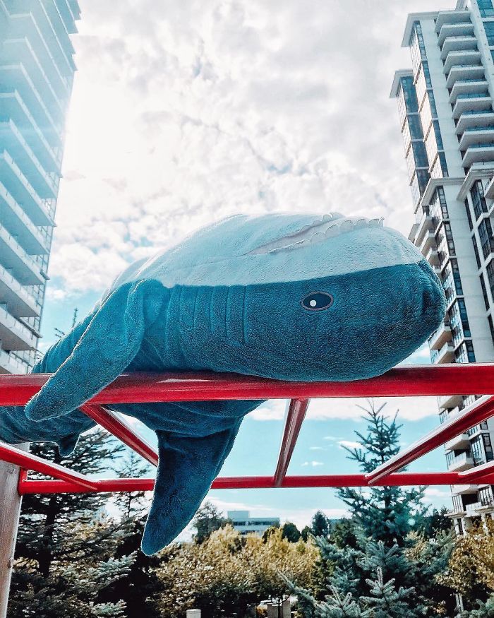 Ikea Shark Plush