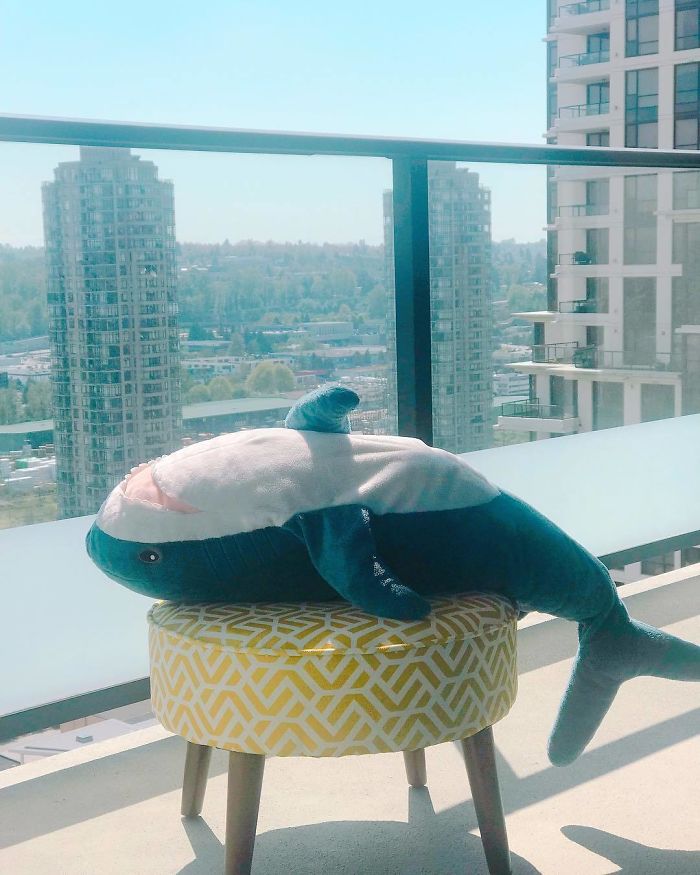 Ikea Shark Plush