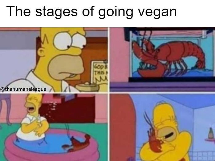 Vegan Memes