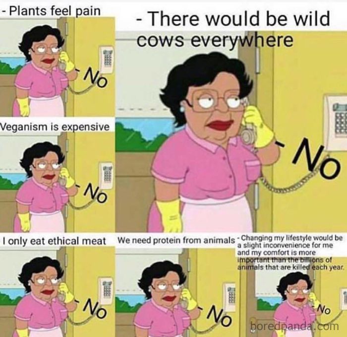 Vegan Memes
