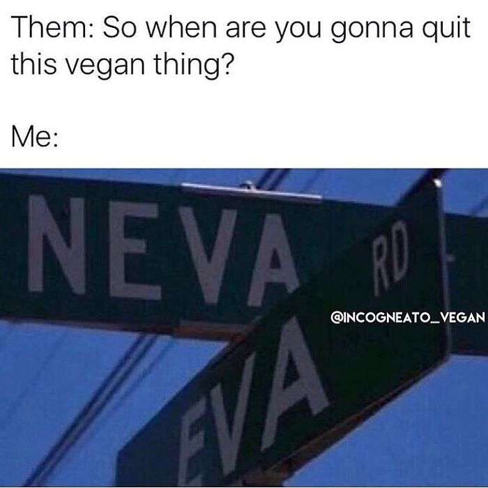 Vegan Memes