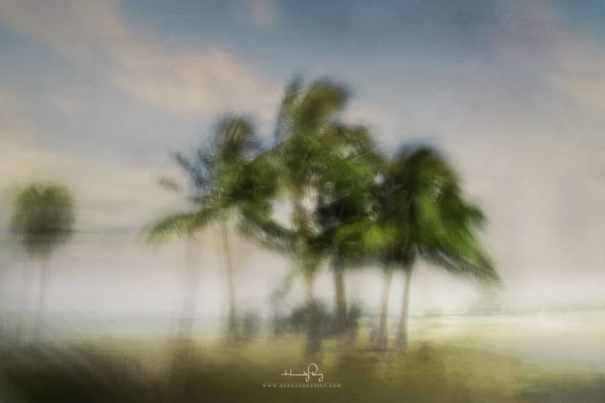 I Wanted To Paint And I Ended Up Painting With A Camera