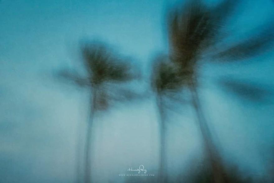 I Wanted To Paint And I Ended Up Painting With A Camera