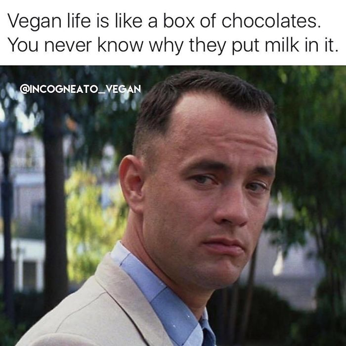 Vegan Memes