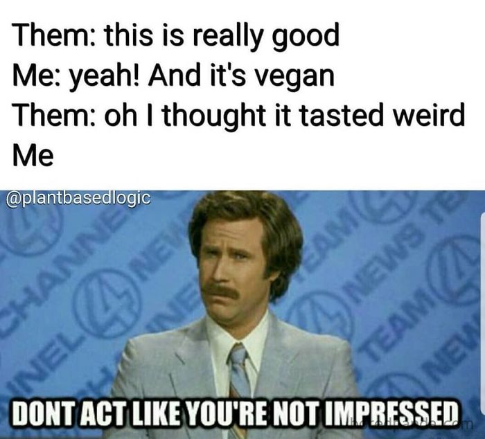 Vegan Memes