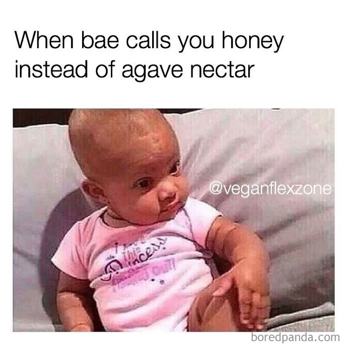 Vegan Memes