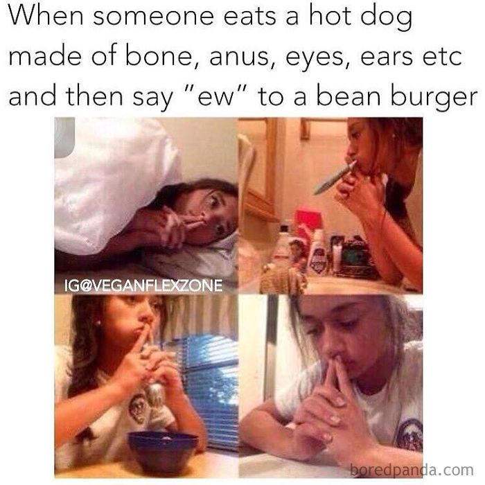Vegan Memes