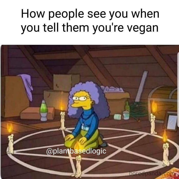 Vegan Memes