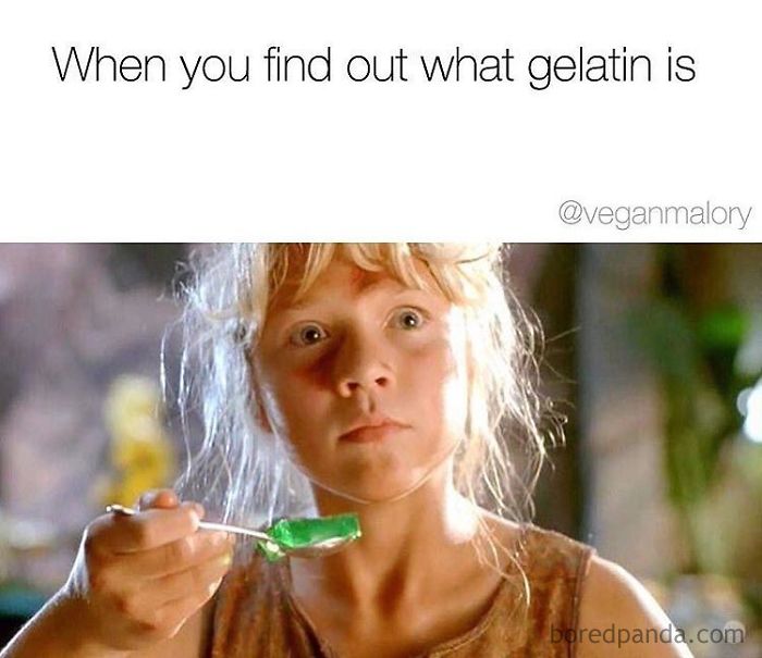Vegan Memes