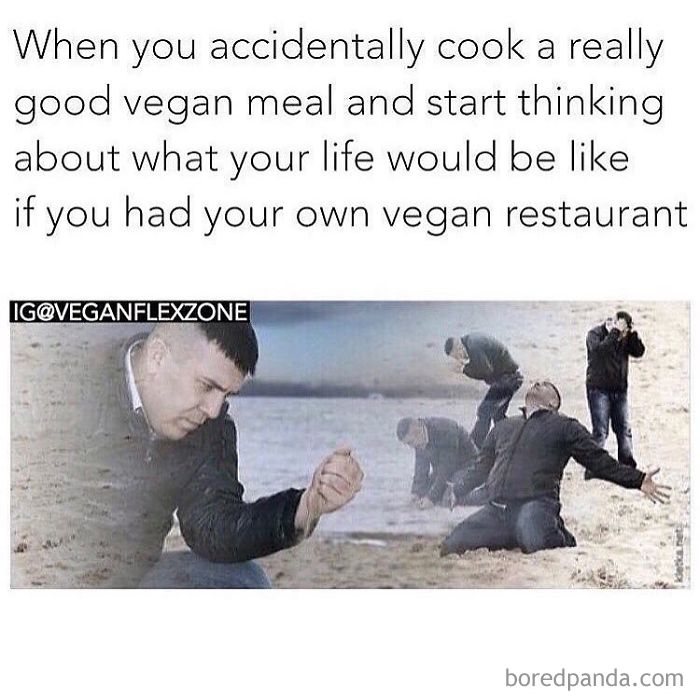 Vegan Memes