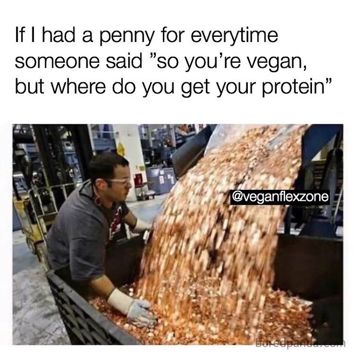 Vegan Memes