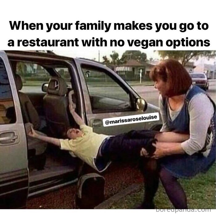 Vegan Memes