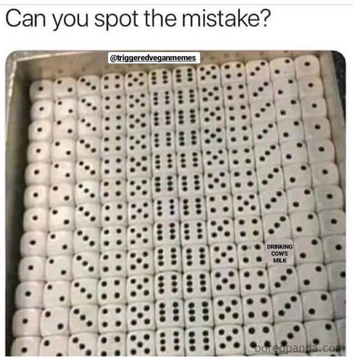Vegan Memes