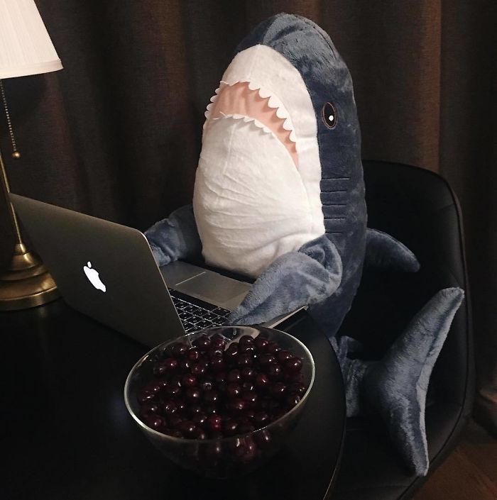 Ikea Shark Plush