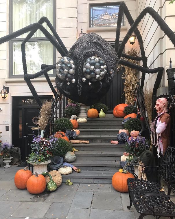 Now That’s A Big Scary Spider