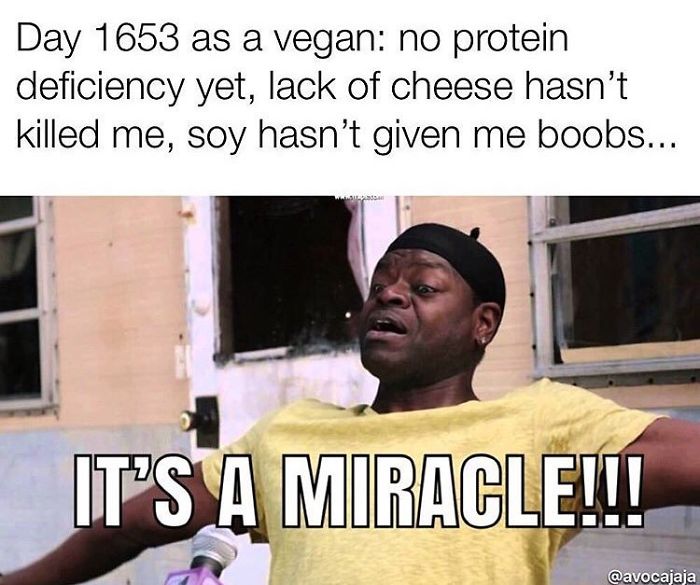 Vegan Memes