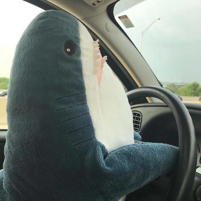 Ikea Shark Plush