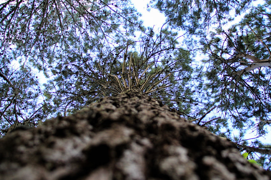 I Captured The Breathtaking Beauty Of The Coromandel