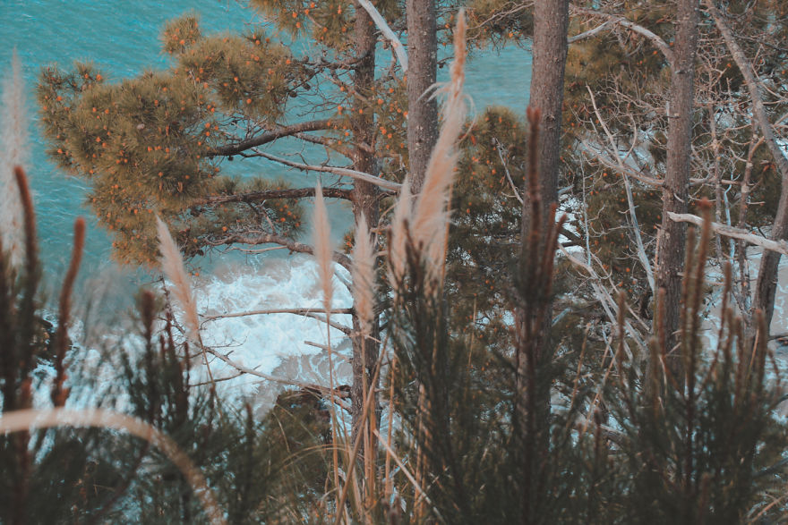 I Captured The Breathtaking Beauty Of The Coromandel