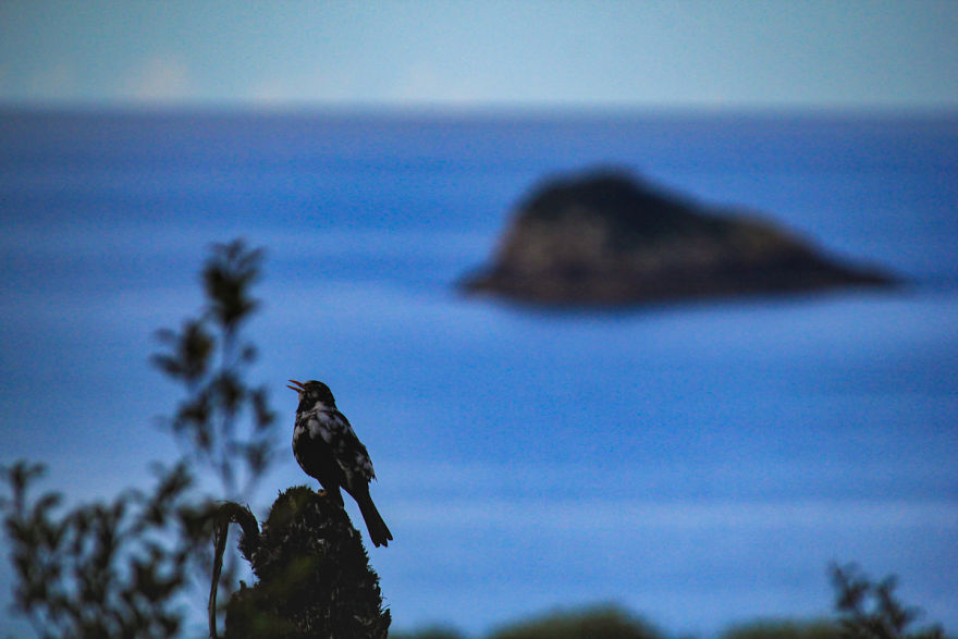 I Captured The Breathtaking Beauty Of The Coromandel