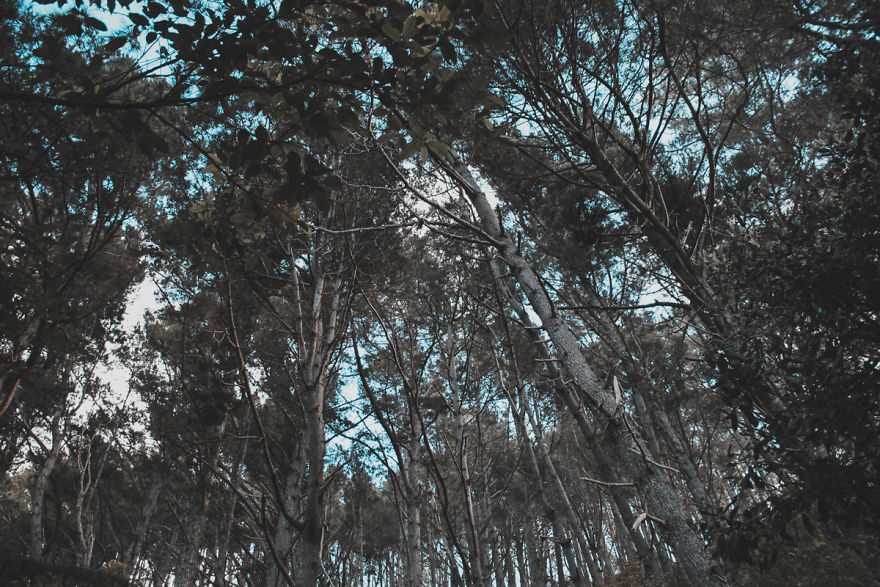 I Captured The Breathtaking Beauty Of The Coromandel