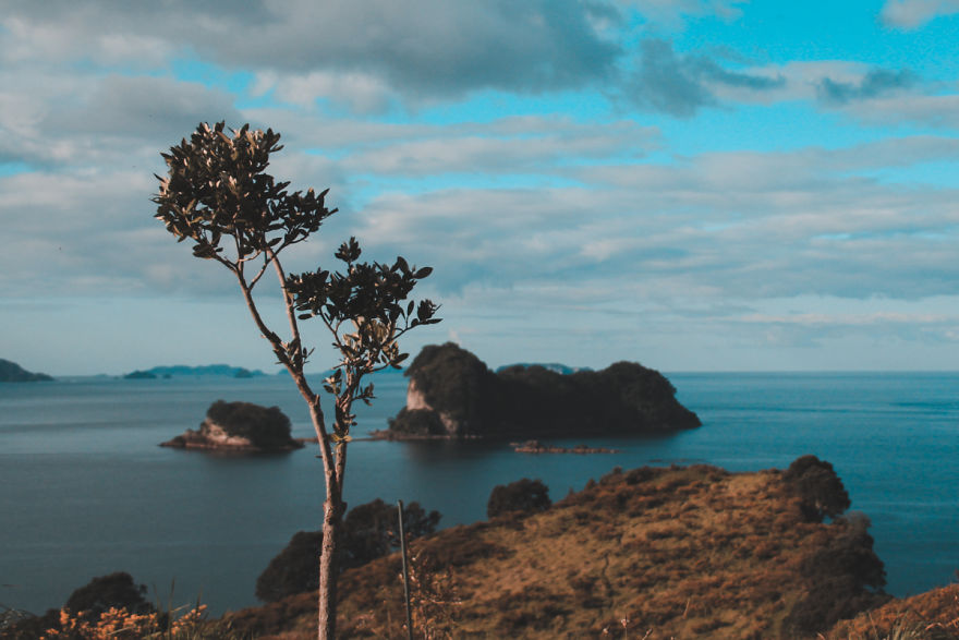 I Captured The Breathtaking Beauty Of The Coromandel