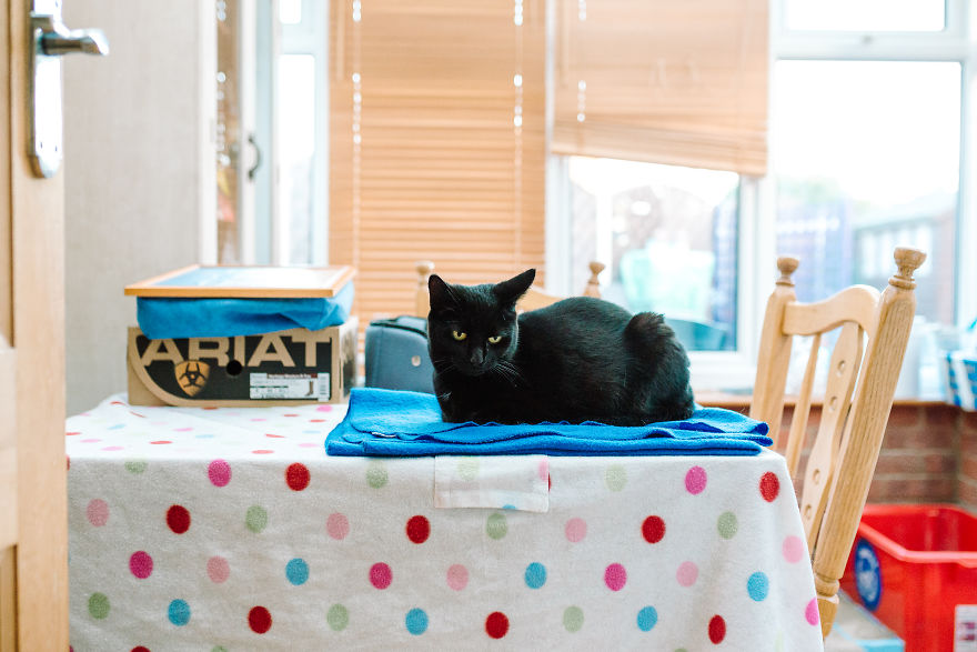 Short Sight - What The World Looks Like Without Glasses Short Sight - What The World Looks Like Without Glasses