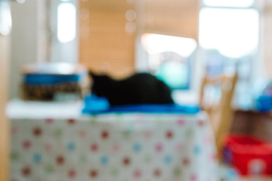 Short Sight - What The World Looks Like Without Glasses Short Sight - What The World Looks Like Without Glasses