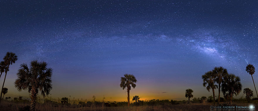 A Night In The Everglades