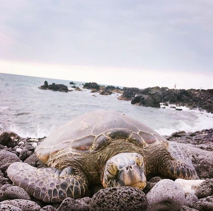 Minimalist-Photography-Bts-Vante