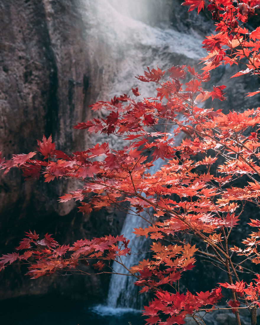 I Went On A Hike At Seoraksan National Park In South Korea And The Fall Foliage Was Incredible