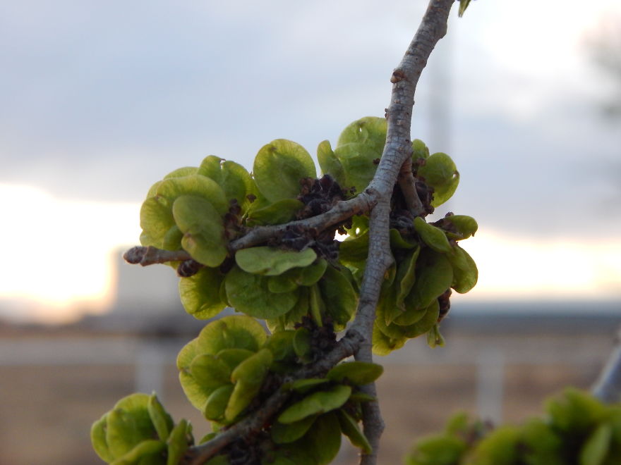 I'm An Amateur Photographer Looking For Constructive Criticism