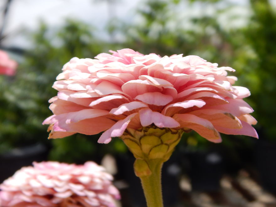 I'm An Amateur Photographer Looking For Constructive Criticism