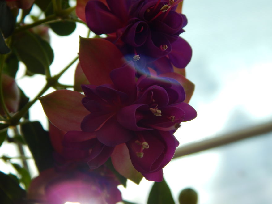 I'm An Amateur Photographer Looking For Constructive Criticism