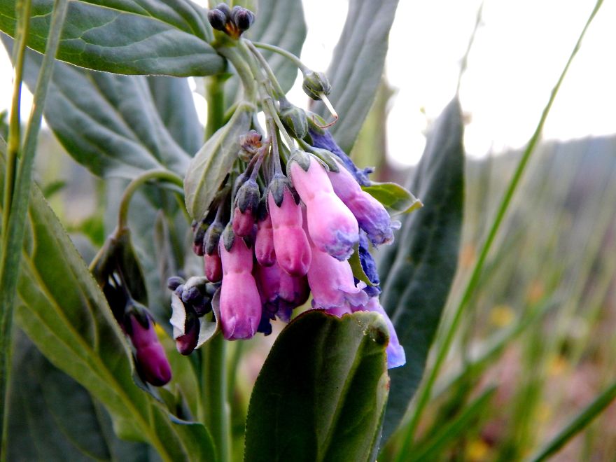 I'm An Amateur Photographer Looking For Constructive Criticism