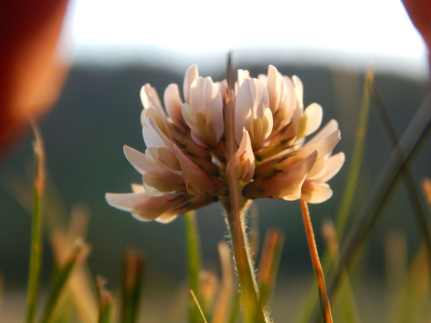 I'm An Amateur Photographer Looking For Constructive Criticism