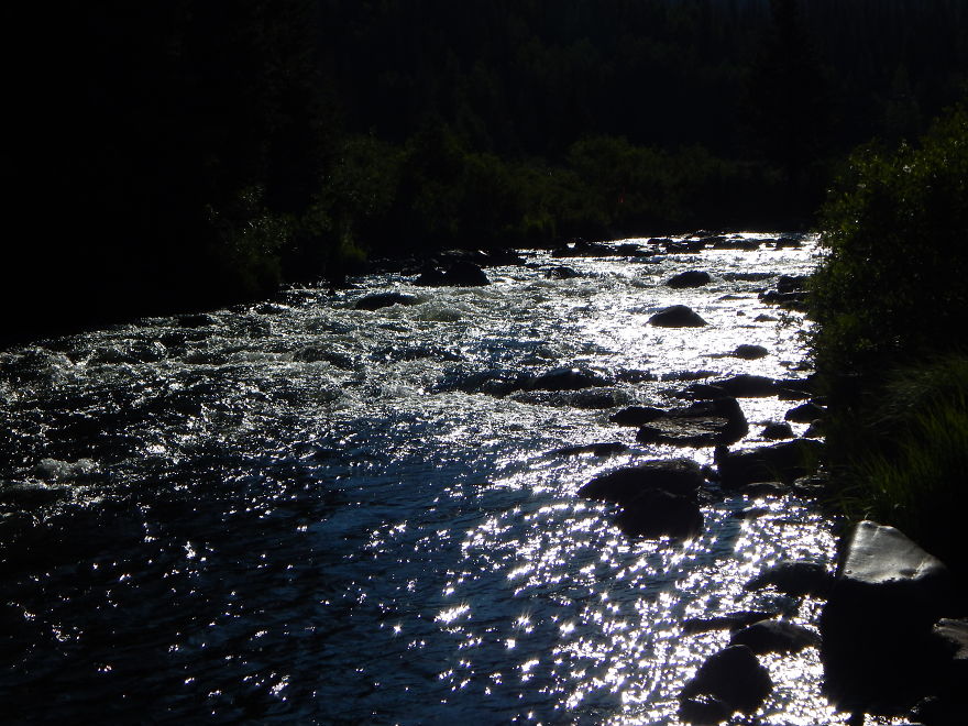 I'm An Amateur Photographer Looking For Constructive Criticism